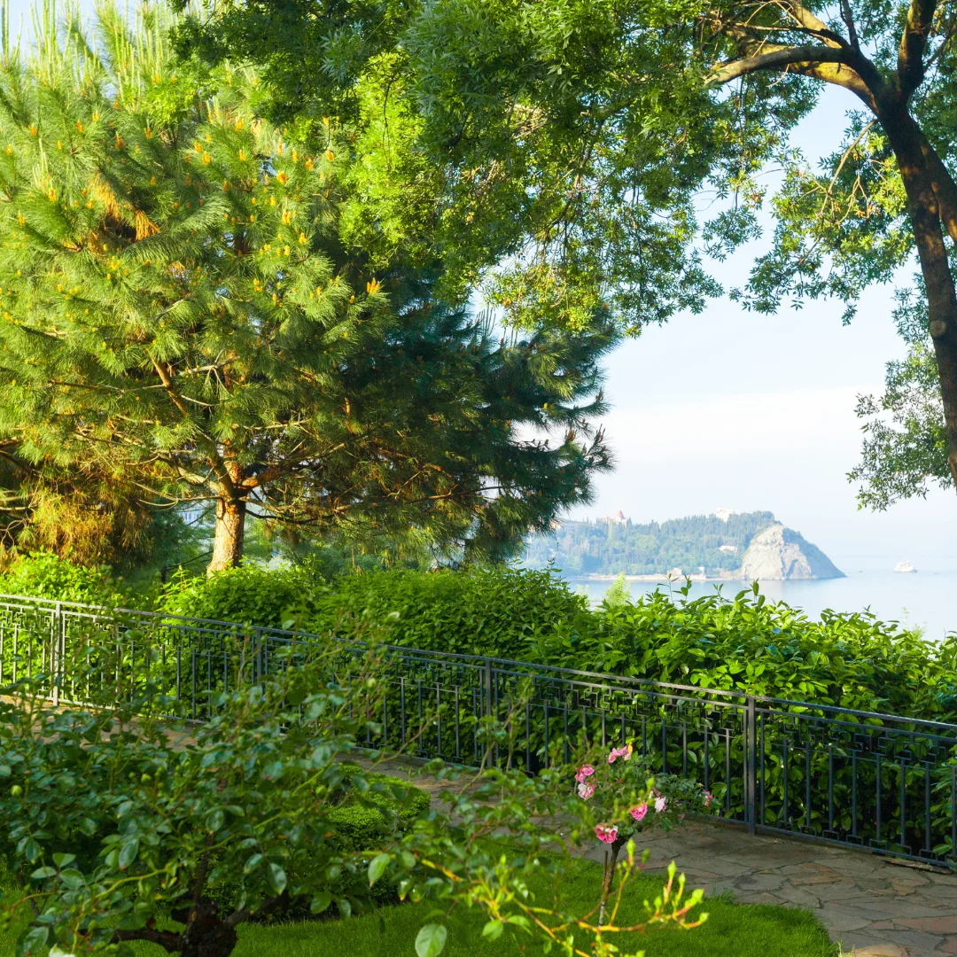 tree garden